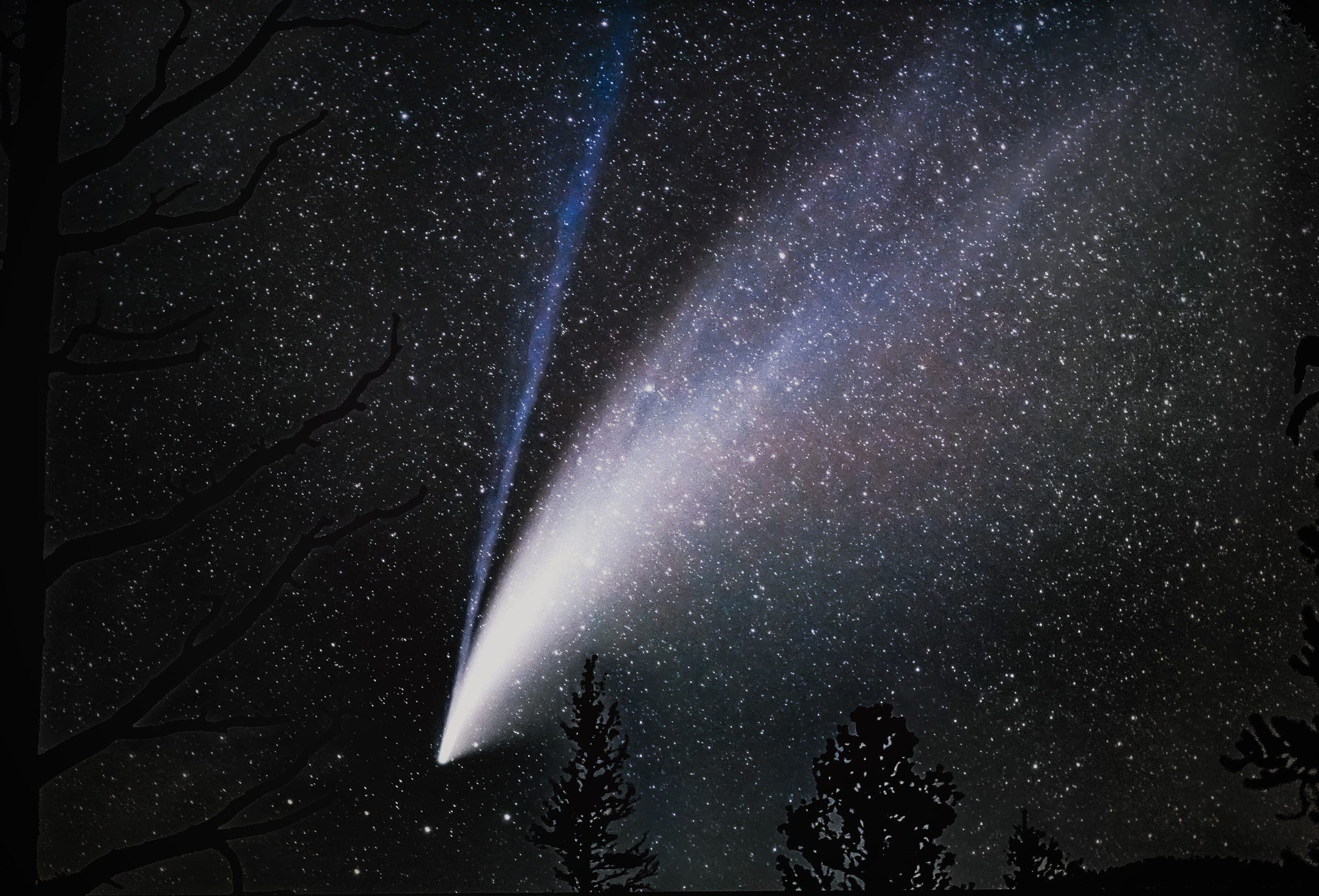 Comet NEOWISE over Horseshoe Meadow